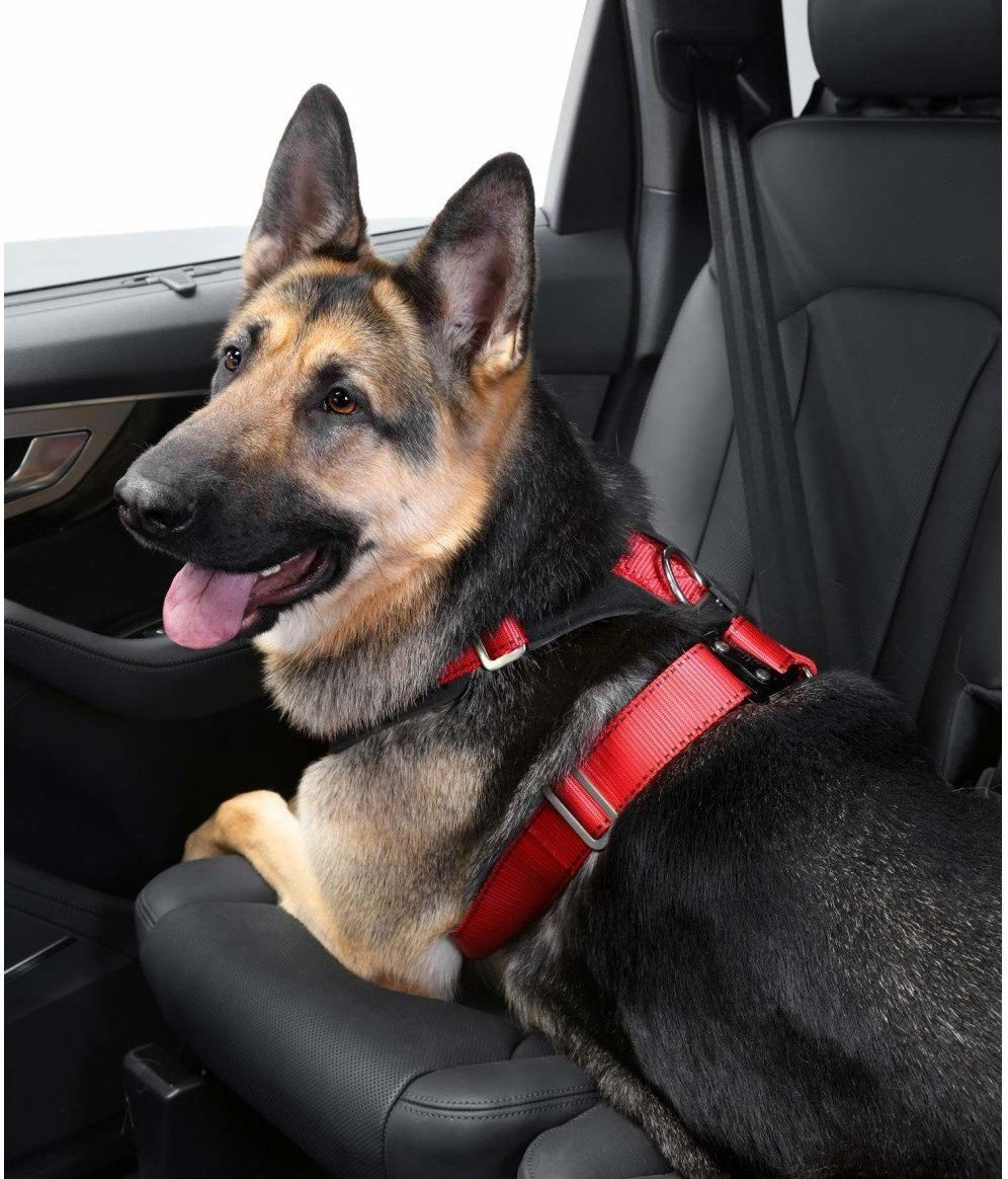 Kleinmetall Harnais de voiture pour chien XL Kleinmetall Harnais de voiture pour chien XL