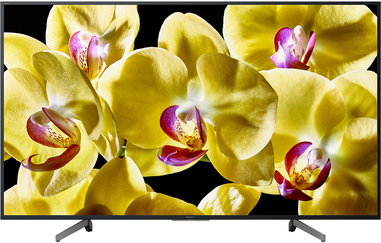 Sony KD-49XG8096