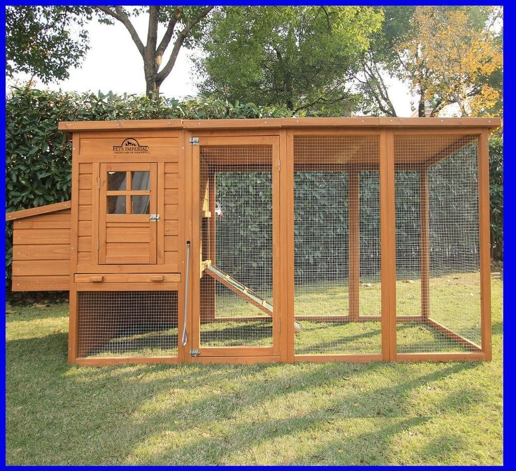Pets Imperial Arlington Deluxe Chicken Coop with free run