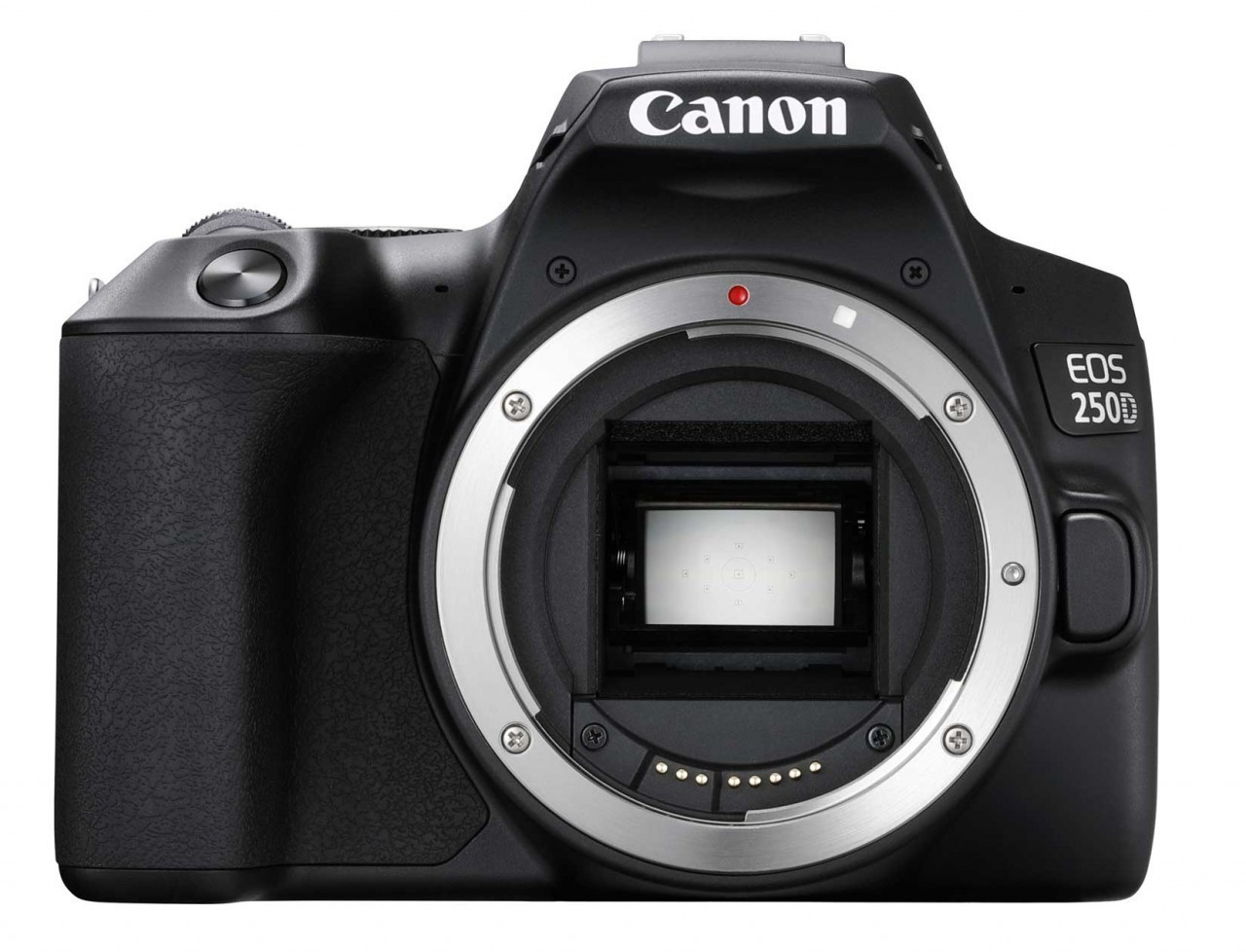Canon EOS 250D Body black