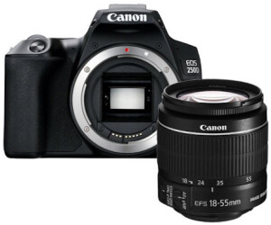 € ab (Februar EOS Canon 250D 2024 | Preise) Preisvergleich bei 598,90