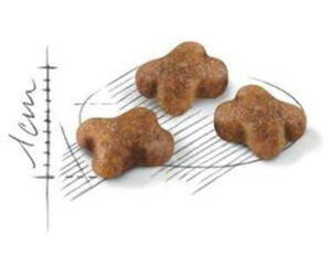 Royal Canin Feline Health Nutrition Kitten Second Age dry food a 6 76 oggi Migliori prezzi e offerte su idealo