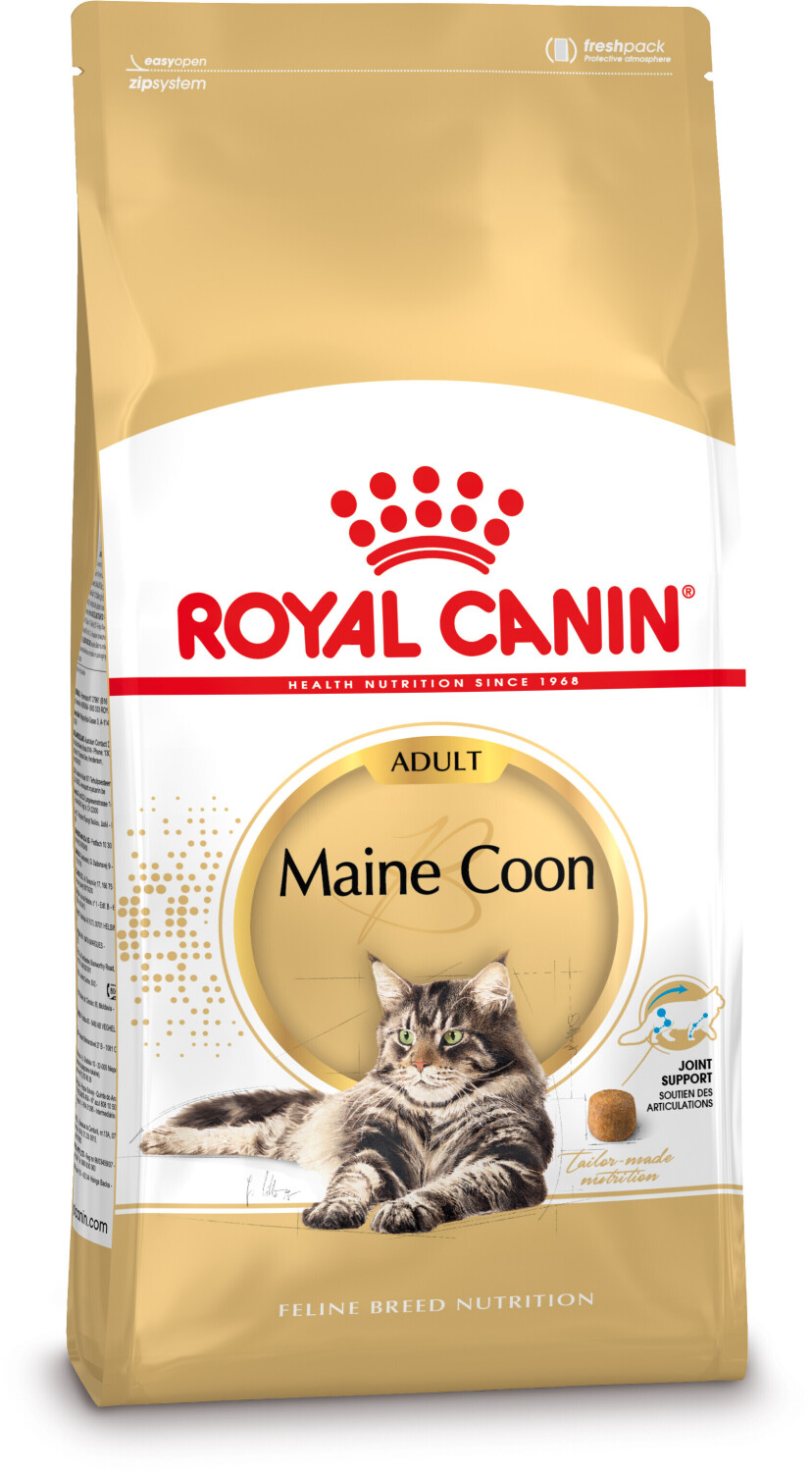 Buy Royal Canin Feline Breed Nutrition Maine Coon Adult dry food