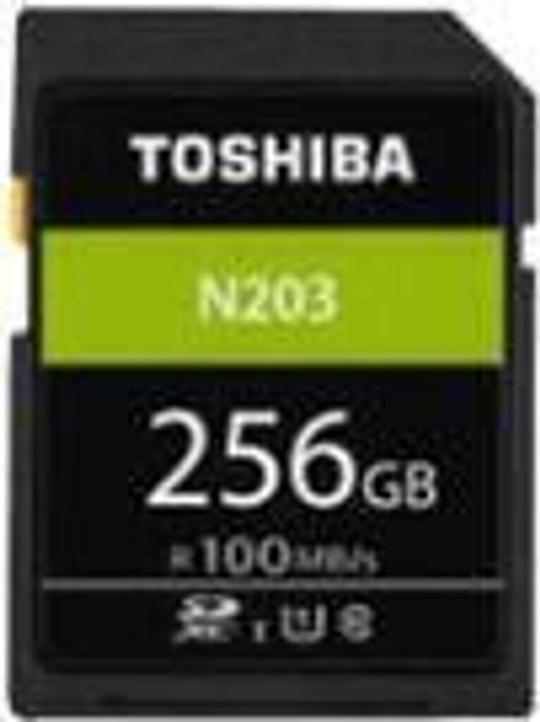 Toshiba High Speed N203 256 Go