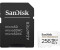 SanDisk High Endurance microSDXC 256GB + SD-Adapter