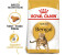 Royal Canin Bengal Adult Dry 10kg