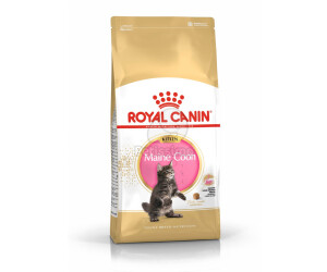 Royal canin maine shop coon dry food