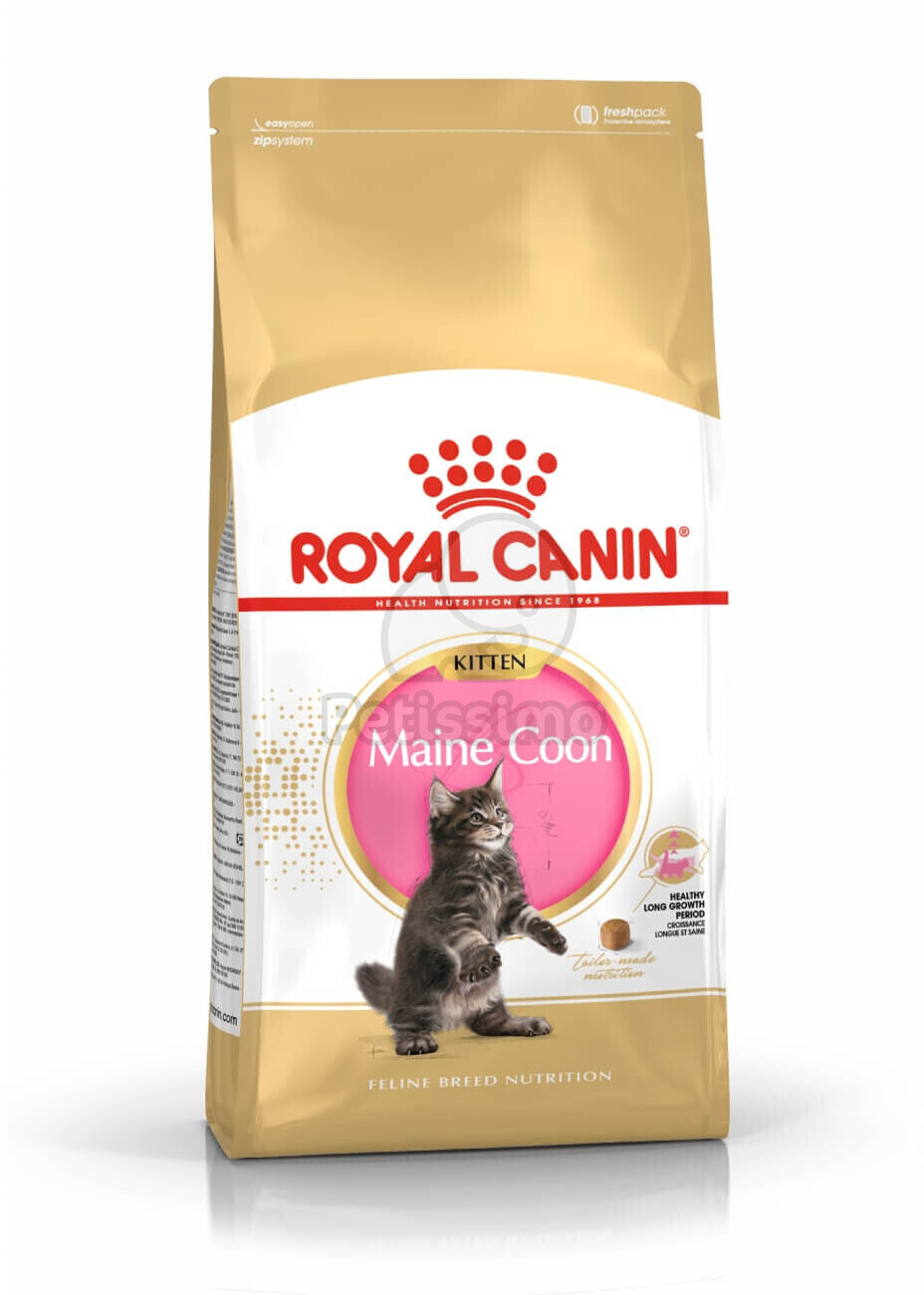 Royal canin store dry food kitten