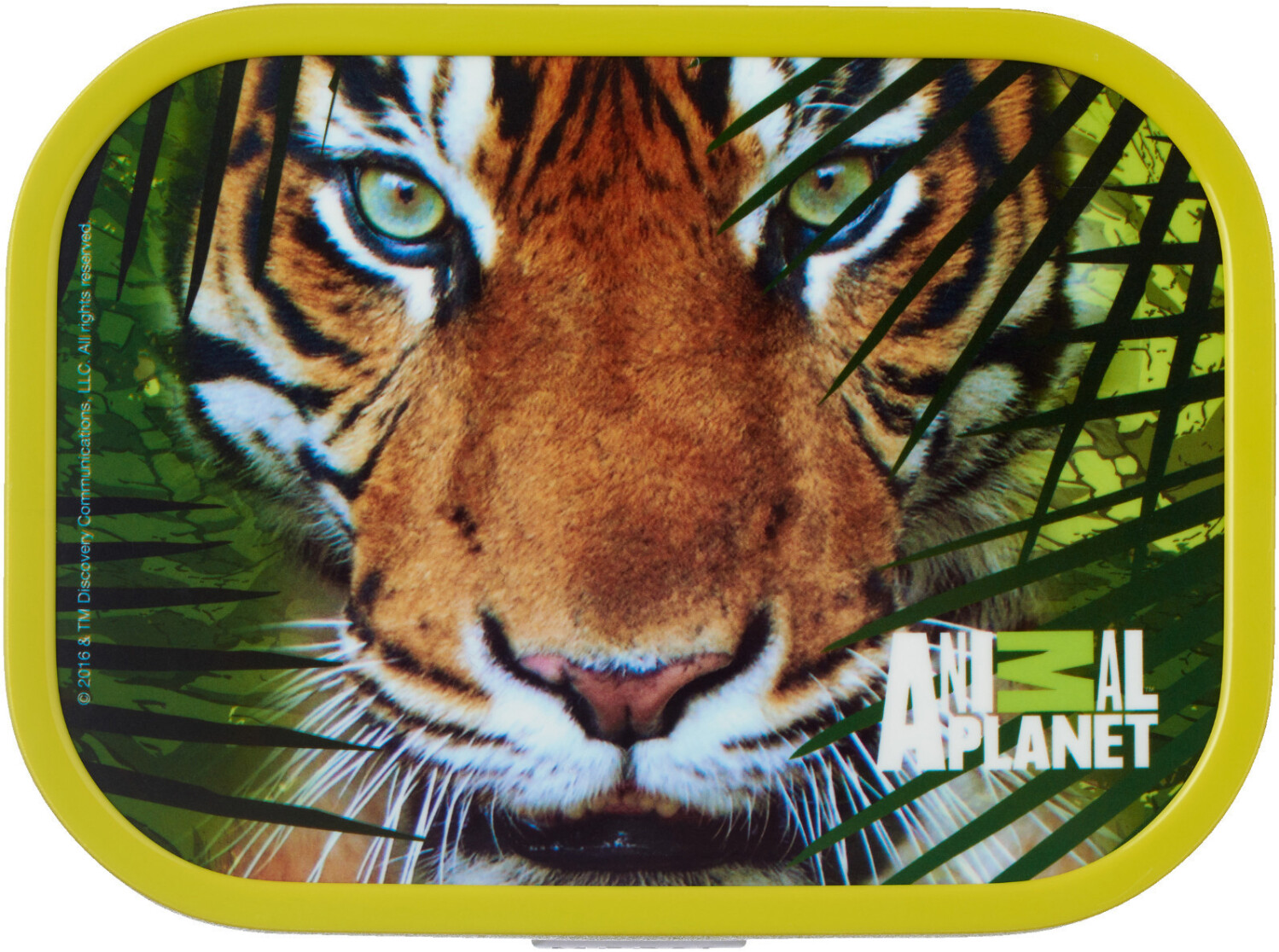 Rosti Mepal Campus Bento Snackbox Animal Planet Tiger