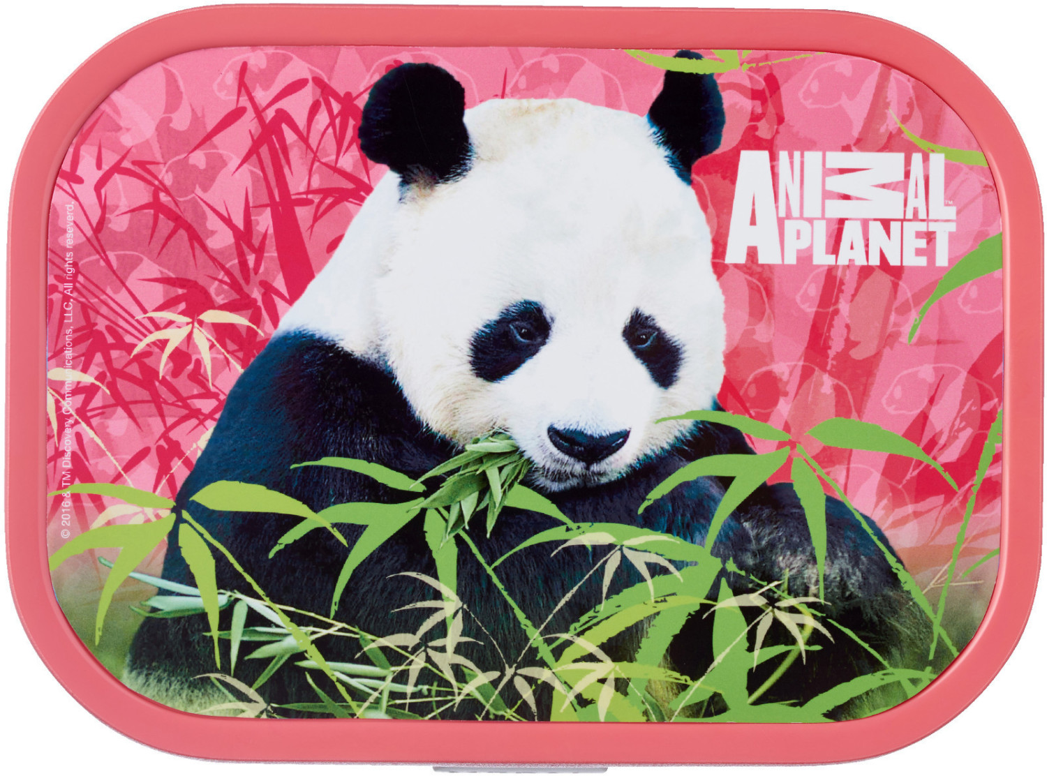 Rosti Mepal Campus Bento Snackbox Animal Planet Panda