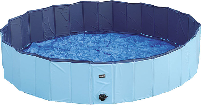 Schecker Doggy Pool