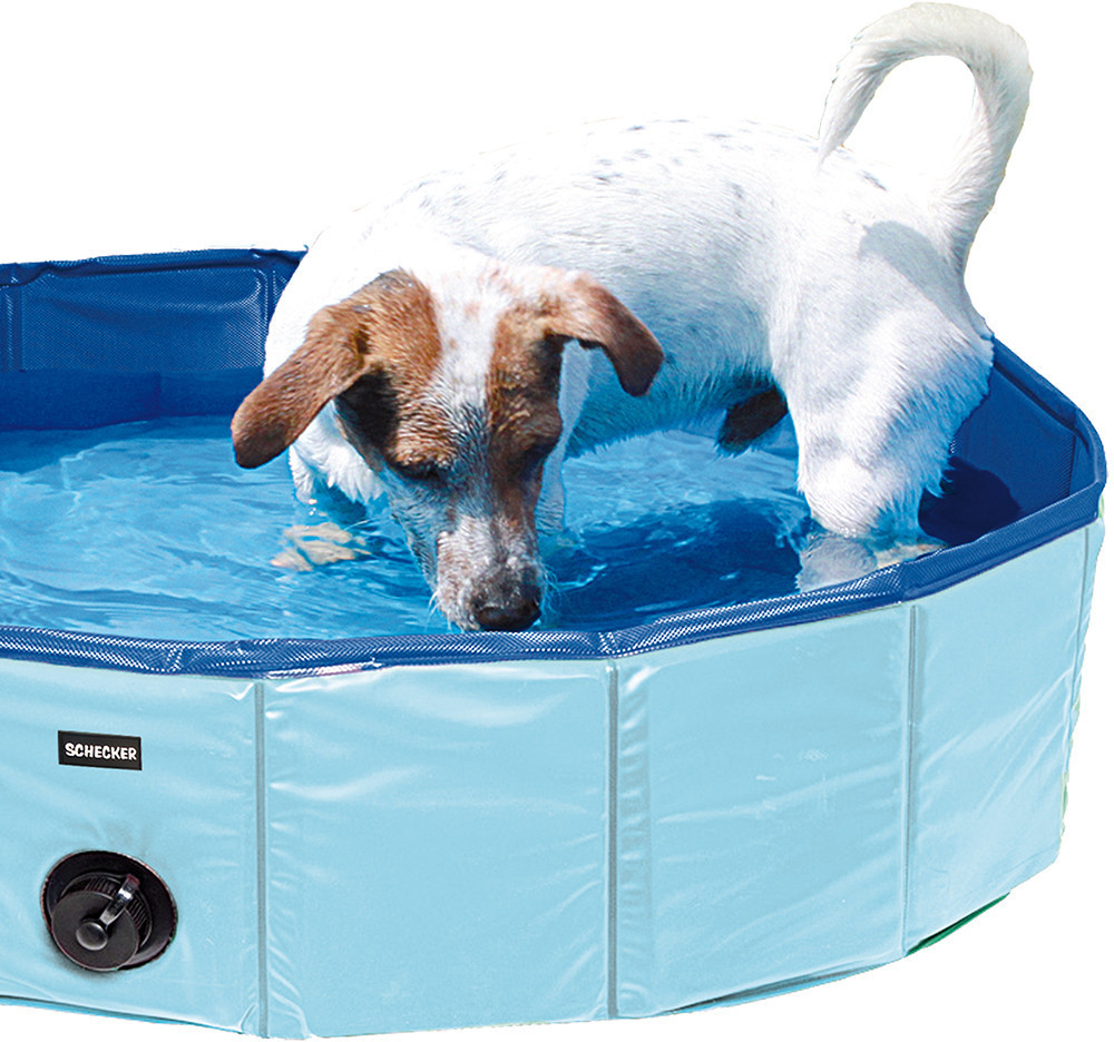 Schecker Doggy Pool 80 x 20 cm