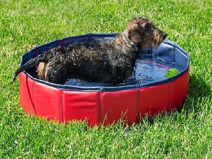 InnovaGoods Piscine pour animaux domestiques 80 x 20 cm