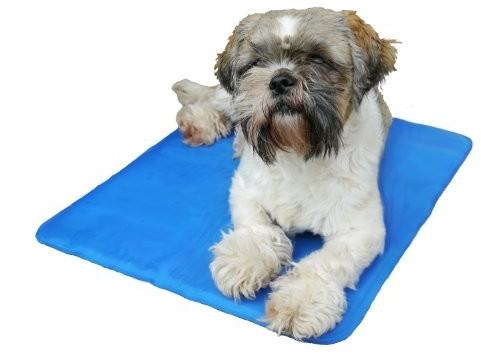 Best Dog Cooling Mats For Summer 2019 Idealo Magazine