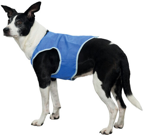 Trixie Gilet pour chien M 30 cm Blue Trixie Gilet pour chien M 30 cm Blue