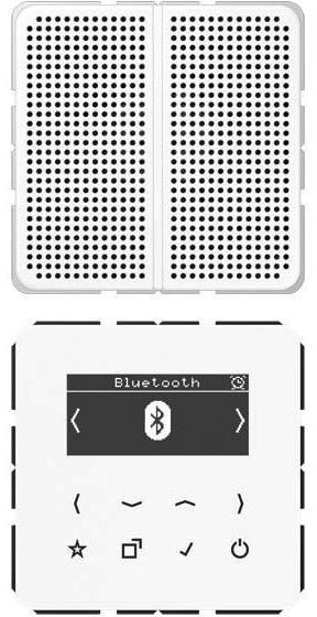 Jung Smart Radio DAB+ Bluetooth, Set Mono DAB CD1 BT WW