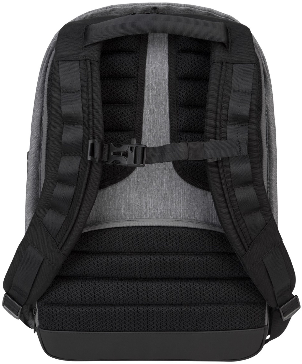 Targus citylite laptop backpack on sale