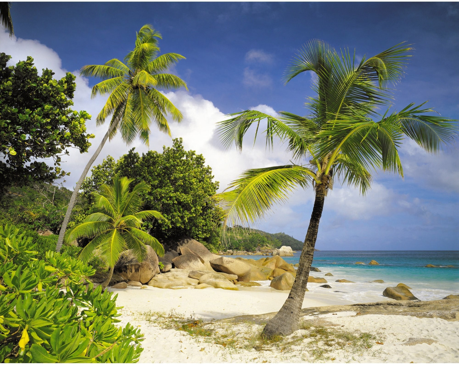 Komar Praslin 368 x 254 cm