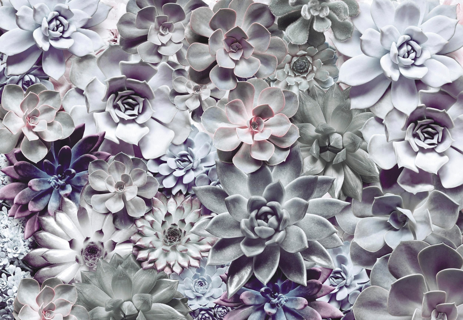 Komar Shades, 368 x 254 cm
