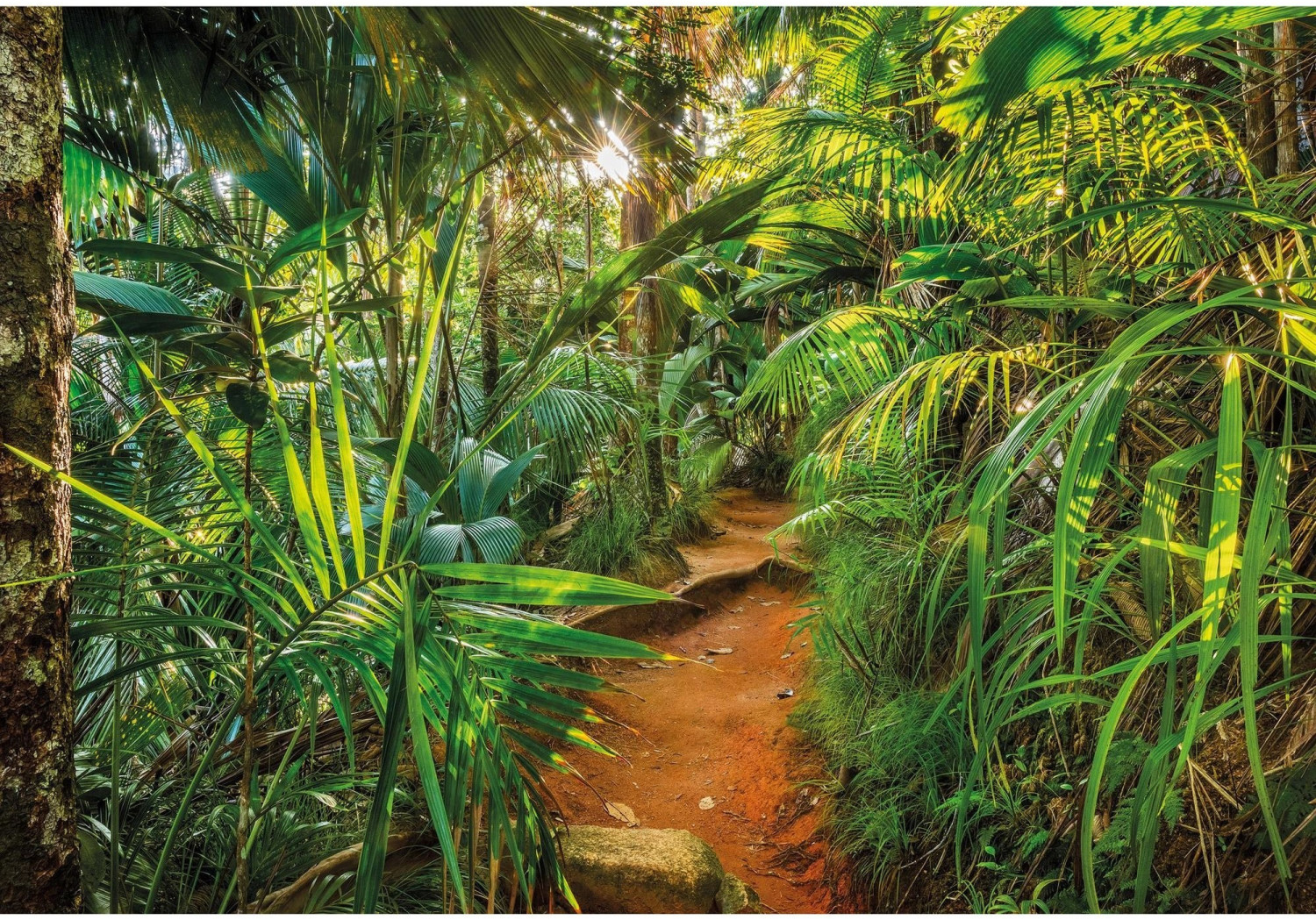 Komar Jungle Trail 368 x 254 cm