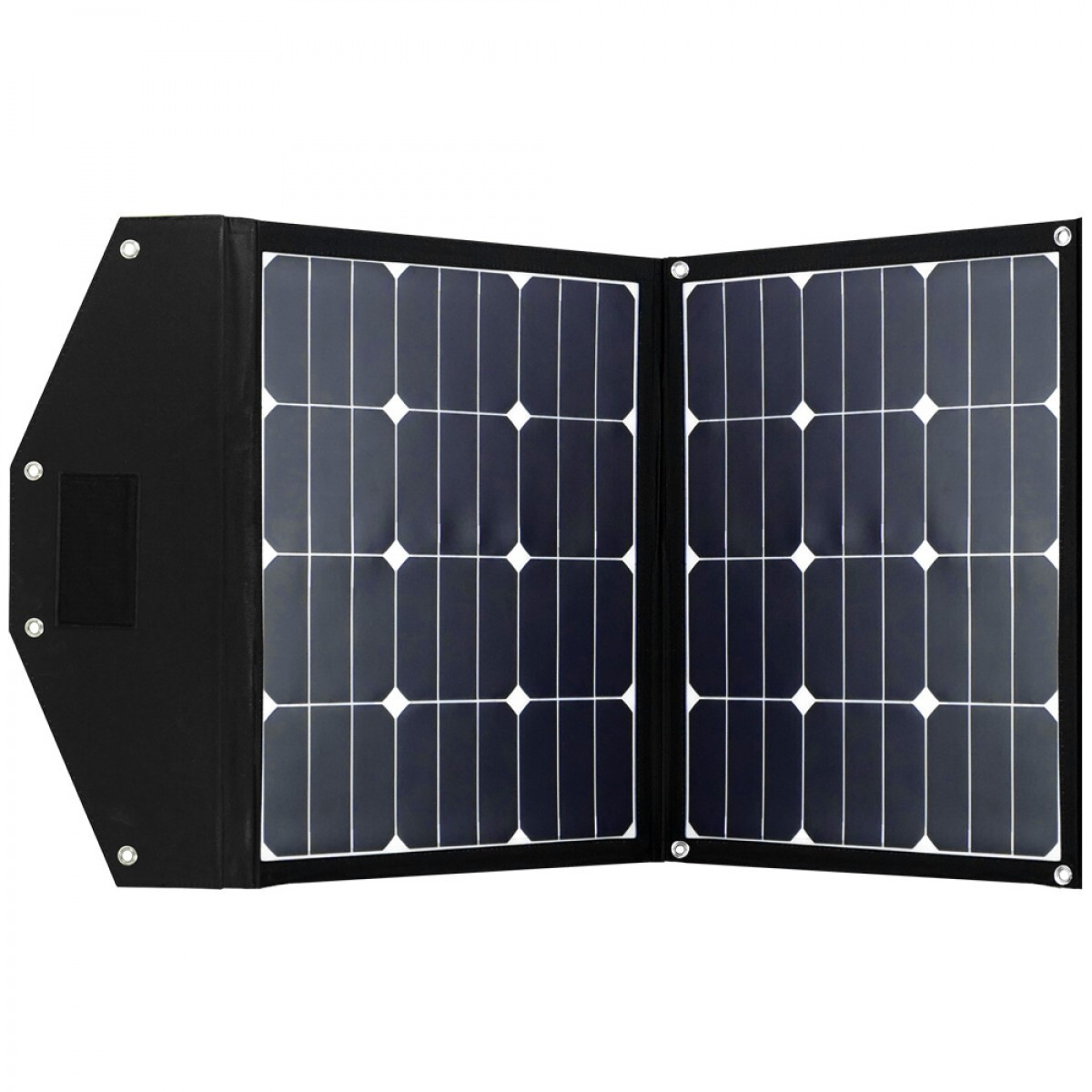Offgridtec FSP-2 80W (3-01-010520)