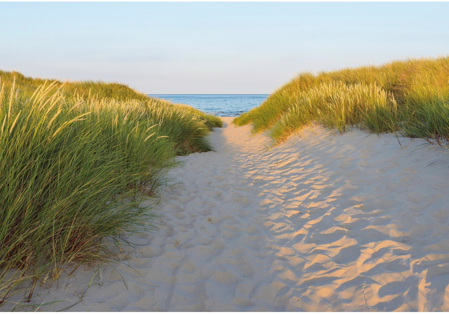 Komar Sandy path 368 x 254 cm