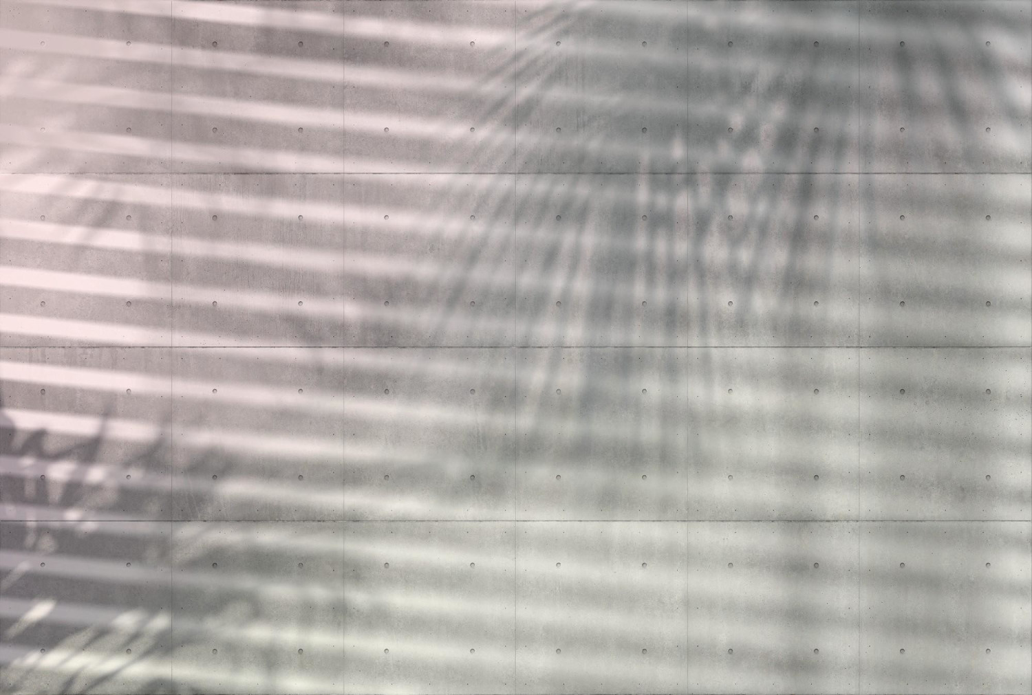 Komar Shadows 368 x 248 cm