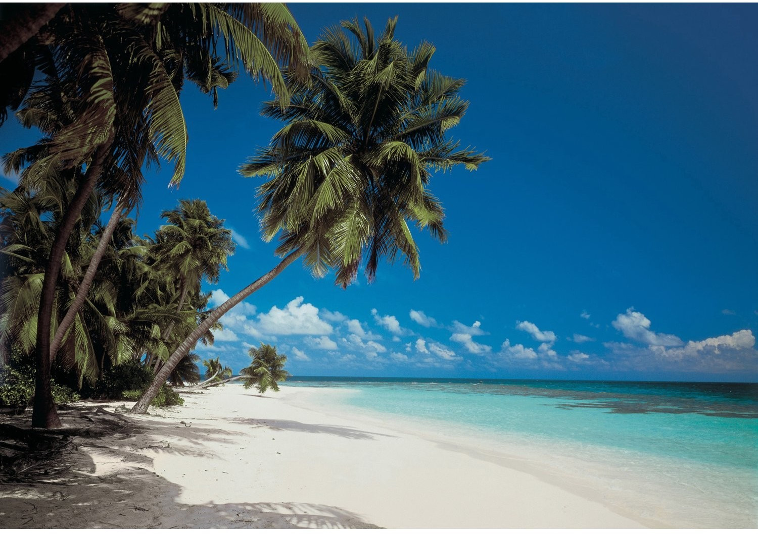 Komar Maldives 388 x 270 cm