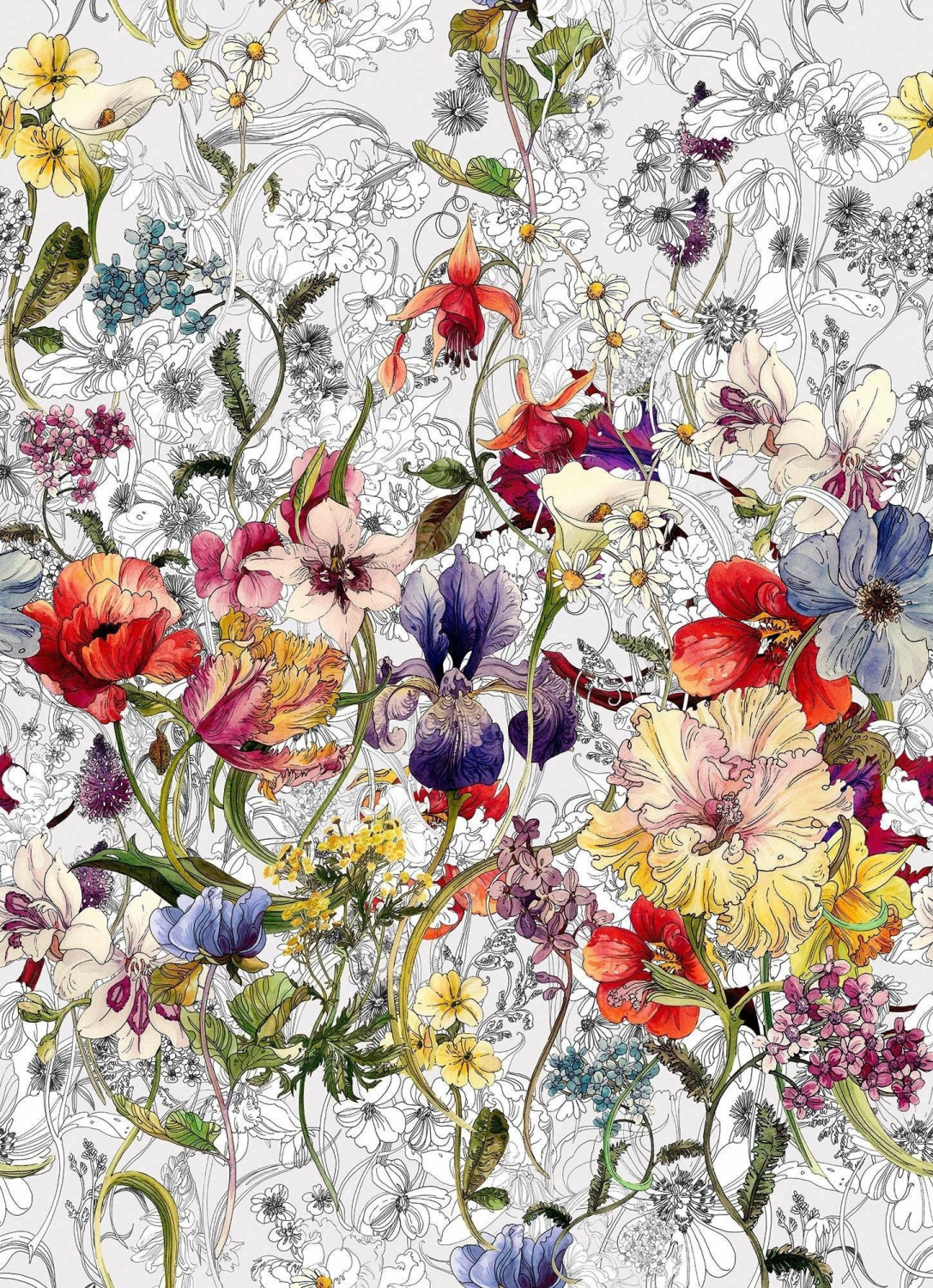 Komar FLORA 184 x 254