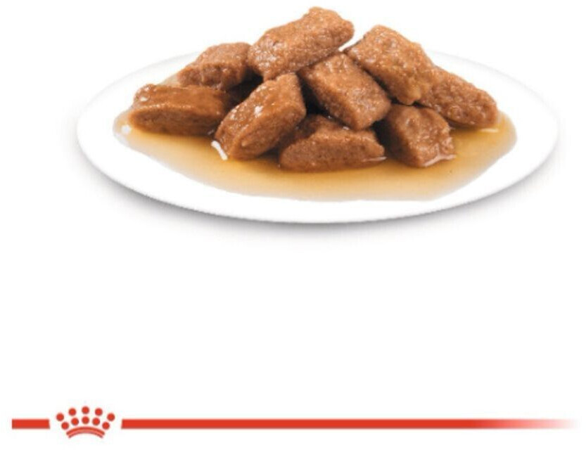 Royal Canin Pâtée pour chien 140g Royal Canin Pâtée pour chien 140g