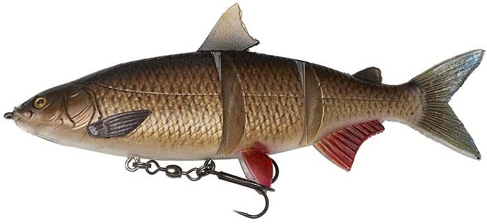 DAM Effzett Natural Whitefish Softlure