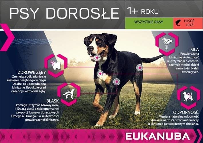 Eukanuba Croquettes pour chien 12 kg Eukanuba Croquettes pour chien 12 kg