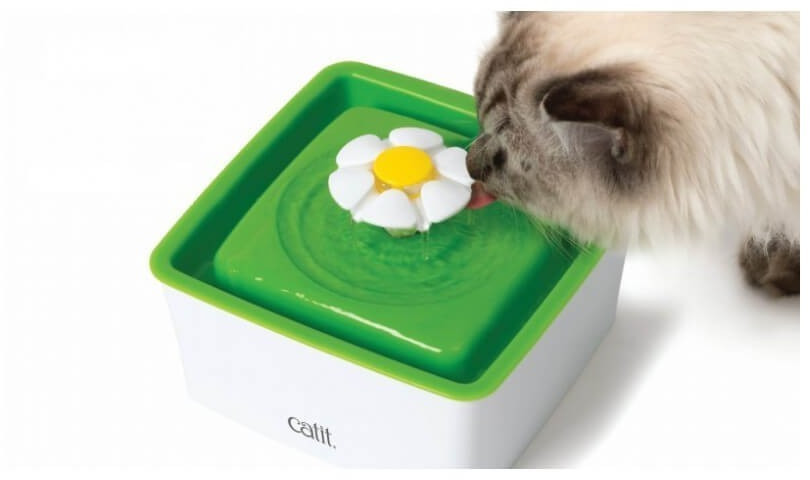Catit Fontaine à eau pour chat Catit Fontaine à eau pour chat