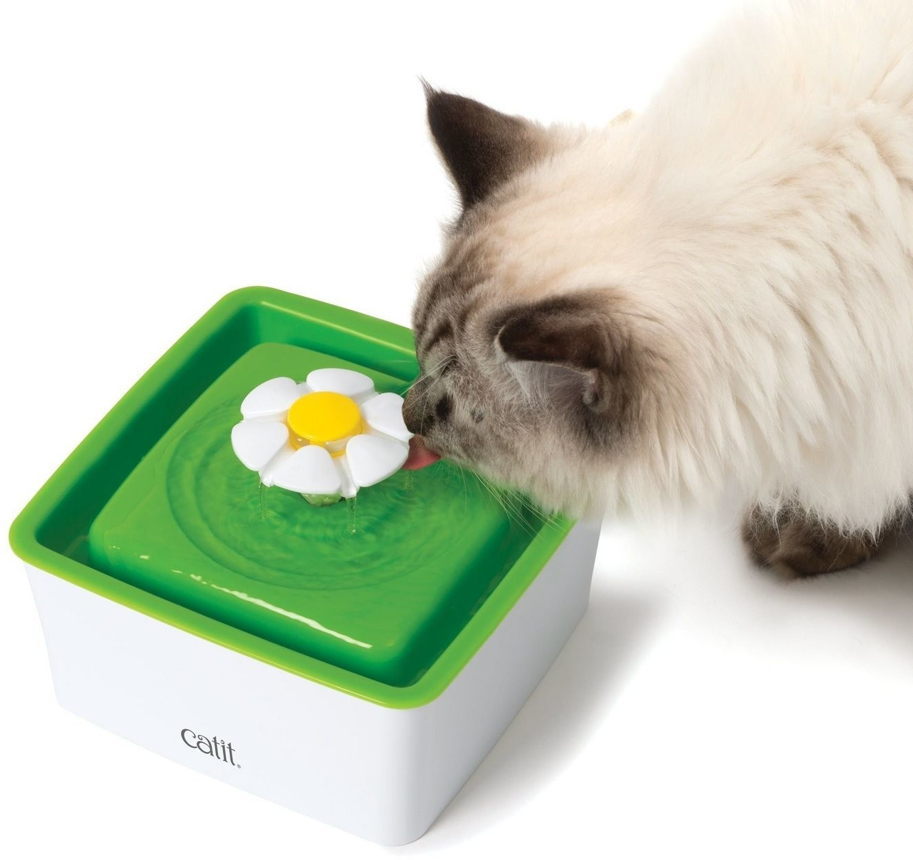 Catit Fontaine à eau pour chat Catit Fontaine à eau pour chat