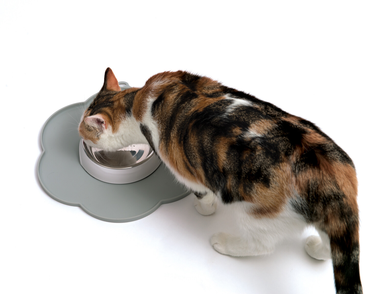 Catit Support gamelle Grey Catit Support gamelle Grey