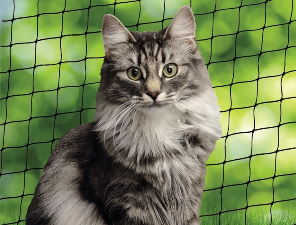 Nobby Cat Protection Net L (80107)