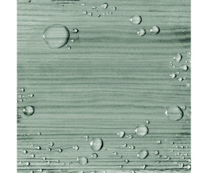 Alpina Wetterschutzfarbe 2,5 l salbeigrün ab 34,99 € | Preisvergleich