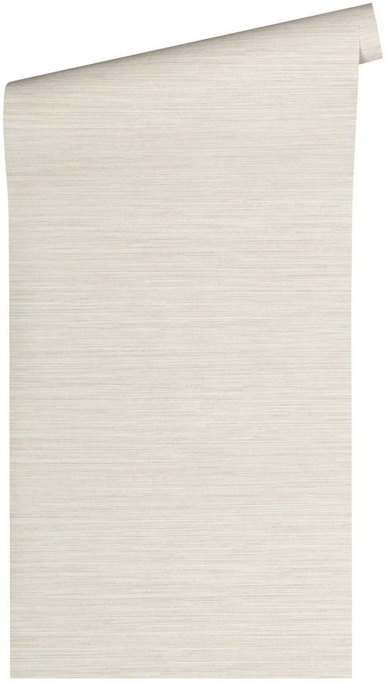 A.S. Creation Titanium 2 - 360061