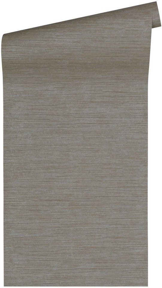 A.S. Creation Titanium 2 - 360065