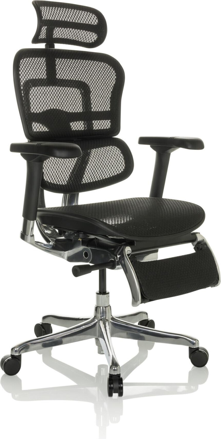 HJH Office Ergohuman Plus Legpro Netz