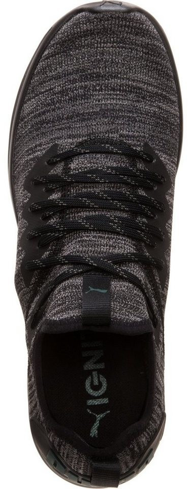 puma black ponderosa pine