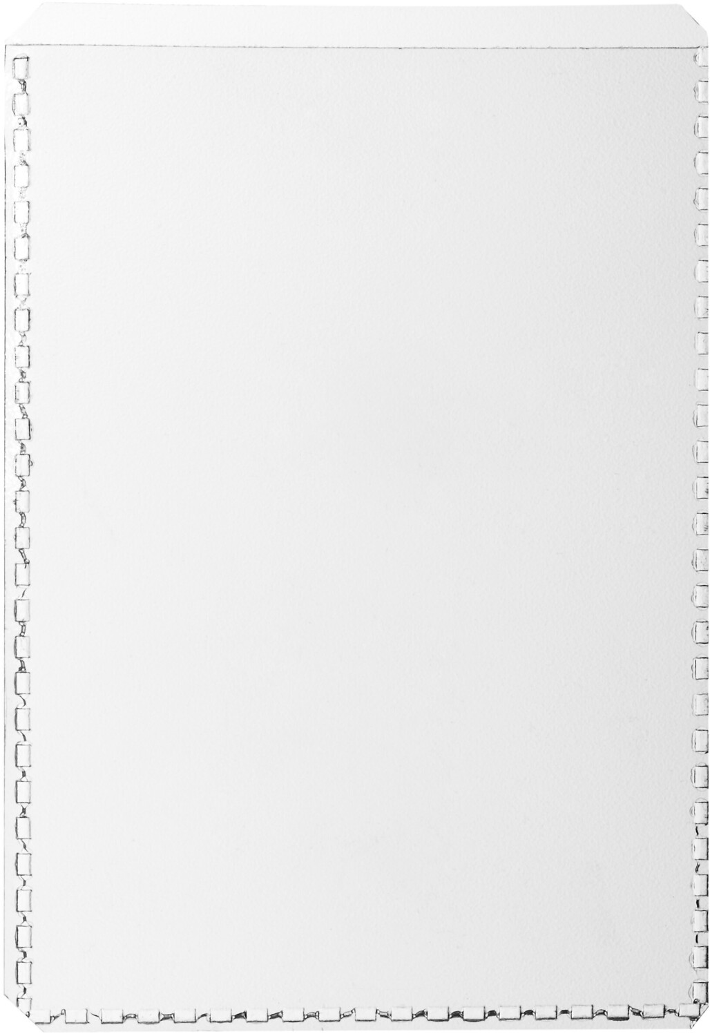 DURABLE 213519 Protective Identification Card Covers (for documents in 59 x 86 mm)