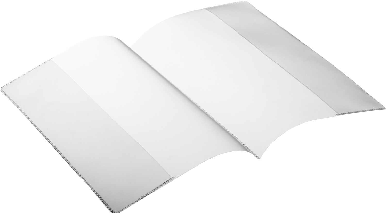 DURABLE 214119 Protective Identification Card Covers, Twin Wallet for documents DIN A5 (296 x 210 mm)