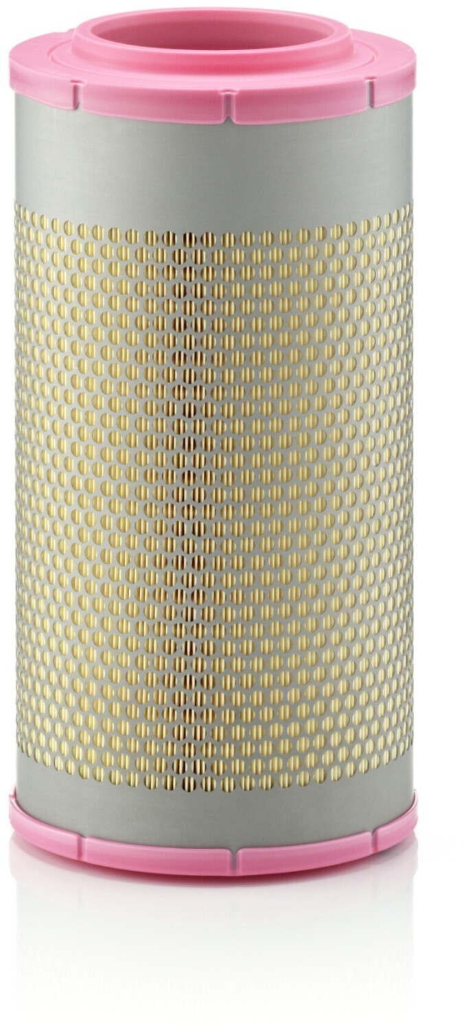 Mann Filter C22580/1