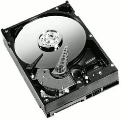 Western Digital Caviar Blue SATA II 320GB (WD3200AAJS)