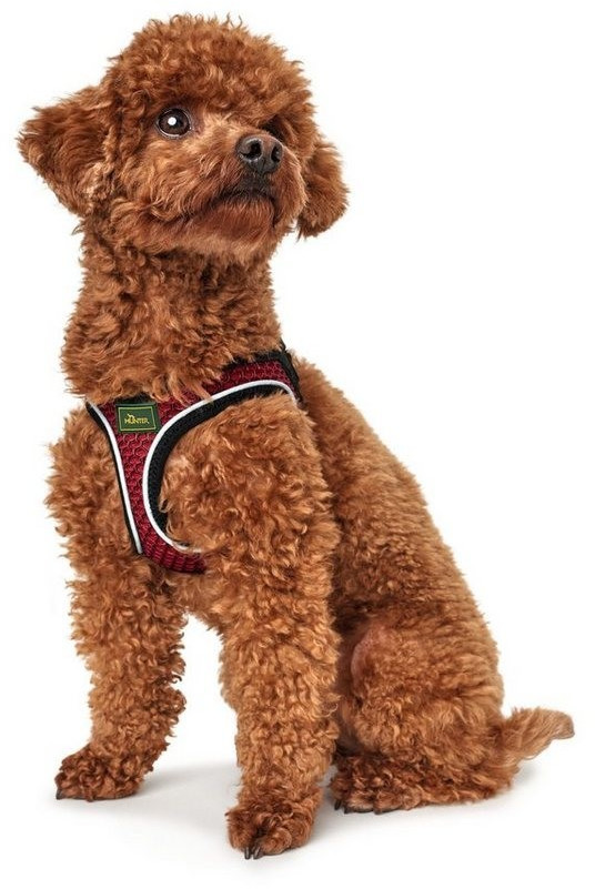 HUNTER Harnais pour chien Red XXS-XS