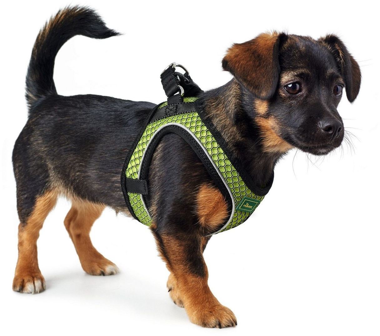 HUNTER Harnais pour chien Lime XS-S HUNTER Harnais pour chien Lime XS-S