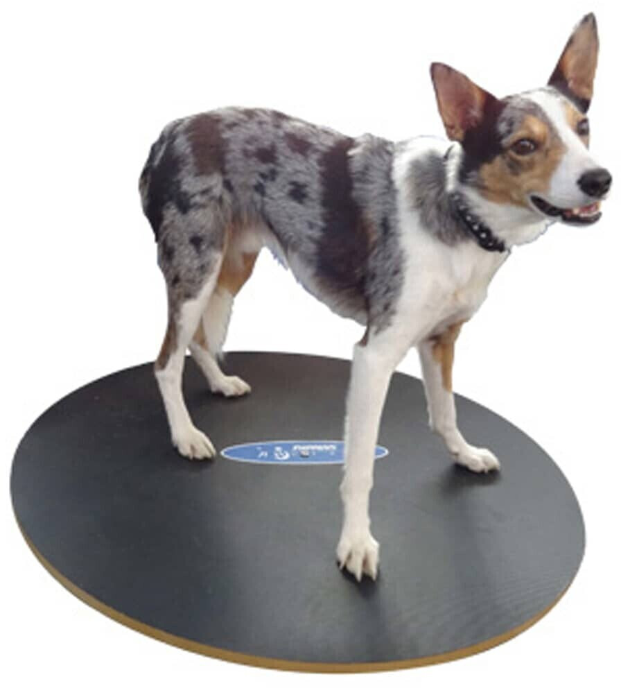 FitPAWS Jouet d'occupation pour chien FitPAWS Jouet d'occupation pour chien