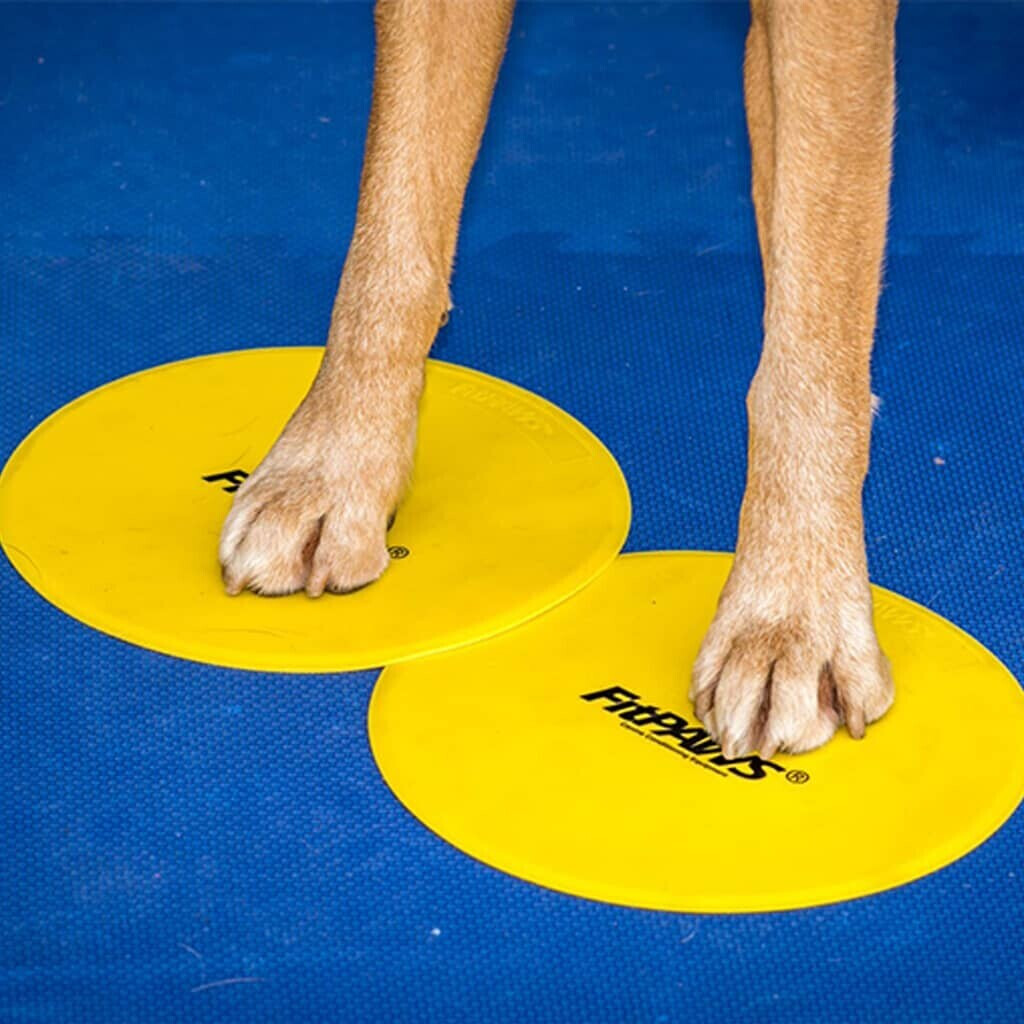 FitPAWS Jouet d'occupation pour chien FitPAWS Jouet d'occupation pour chien