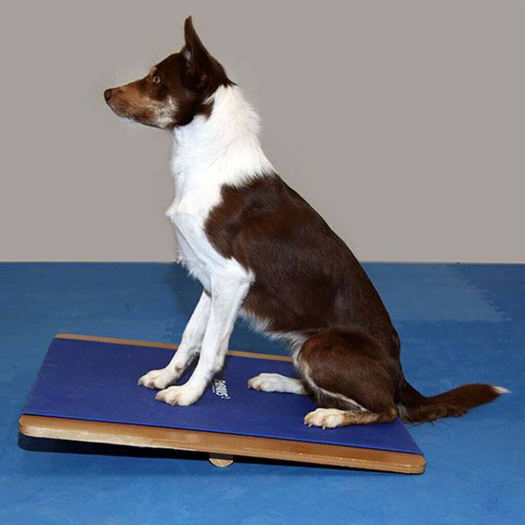 FitPAWS Jouet d'occupation pour chien FitPAWS Jouet d'occupation pour chien